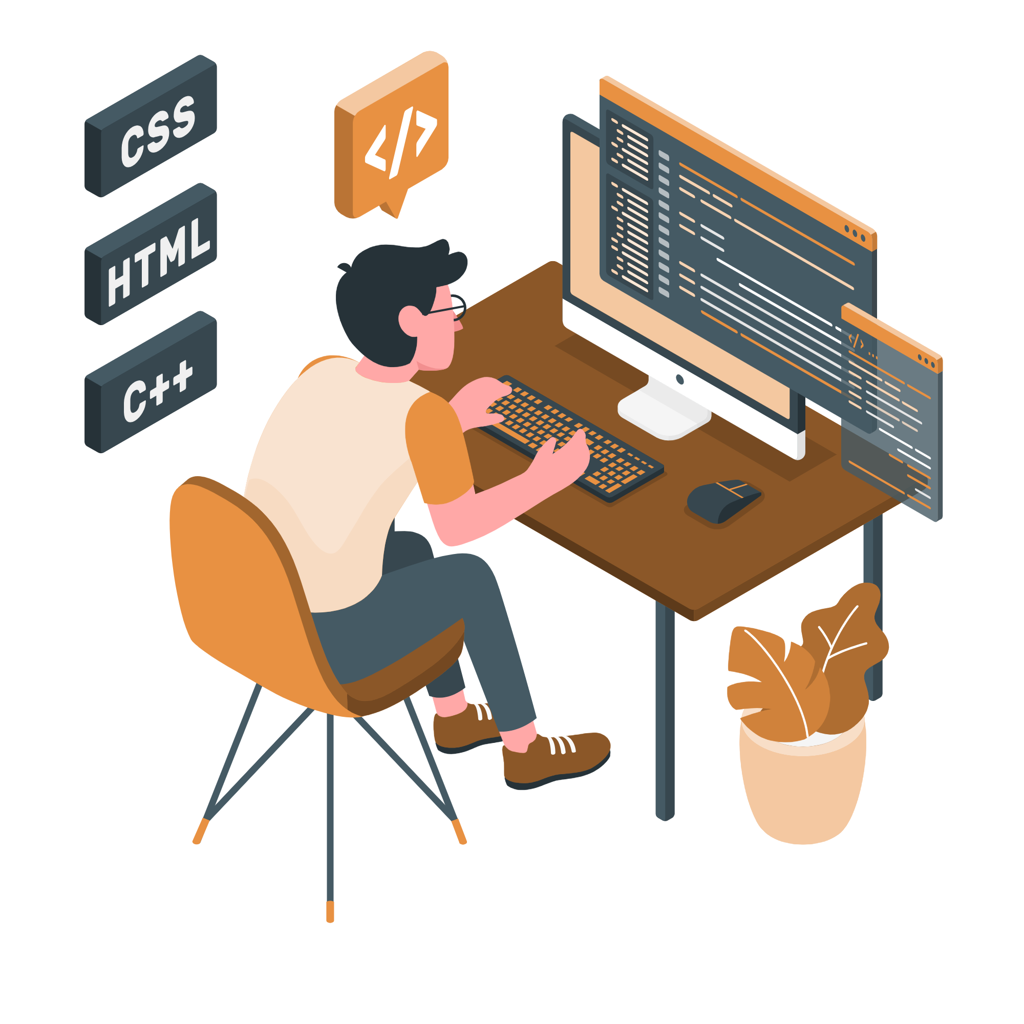 Developer